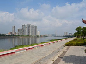 固始天气预报24小时，固始天气预报40天