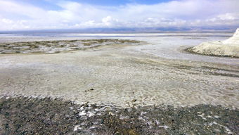 在湖中游泳,碰到雷雨来了怎么办