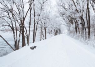 描写冬天非常冷的句子【三篇】