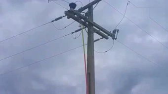 旋动轮滑鞋怎么样