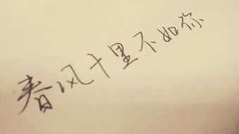 春风十里诗句完整版愿有岁月可回首，春风十里诗句完整版电视剧