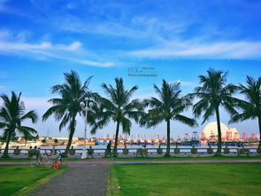 珠海海滨公园赏花攻略珠海海滨公园的花海