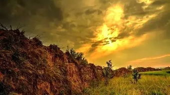 《哥舒歌》西鄙人的唐诗鉴赏