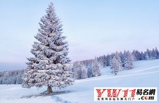 用拟人的修辞手法描写冬天寒冷的句子，描写冬天寒冷的句子段落