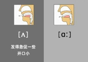 贴的部首是什么