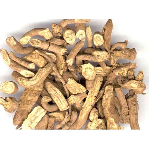 青木香产自哪里