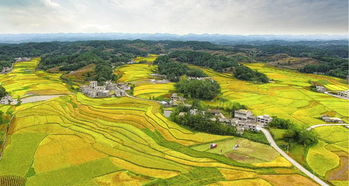 沃野是什么意思