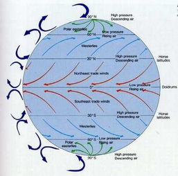 信风和季风有什么区别，信风海运物流有限公司