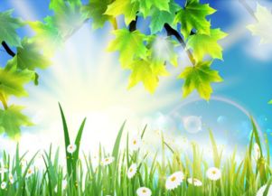 怎样描写春天写一段话，怎样描写春天的样子