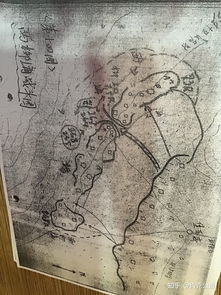 朝令夕改的近义词，朝令夕改的危害