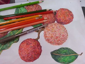 lychee是什么意思