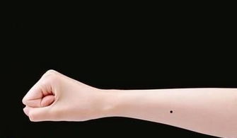 《手心》的歌词是什么?