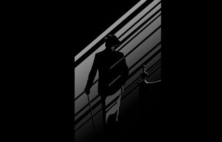 shadow play是什么意思，eye shadow是什么意思