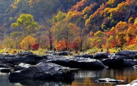 湖里天气预报15天，湖里天气预报今天