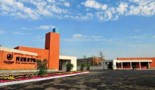 西安欧亚学院学费多少美术生，西安欧亚学院学费多少艺术