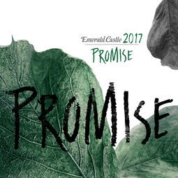 promise是什么意思中文翻译怎么读，make i promise是什么意思