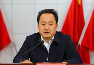 宜昌卢斌有什么问题