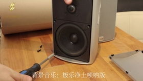 woofer喇叭是什么接口，woofer翻译成中文