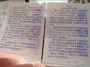 假如我是四年级作文300字