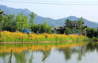 东钱湖景区门票多少钱?