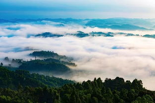 宜春半边山在哪?