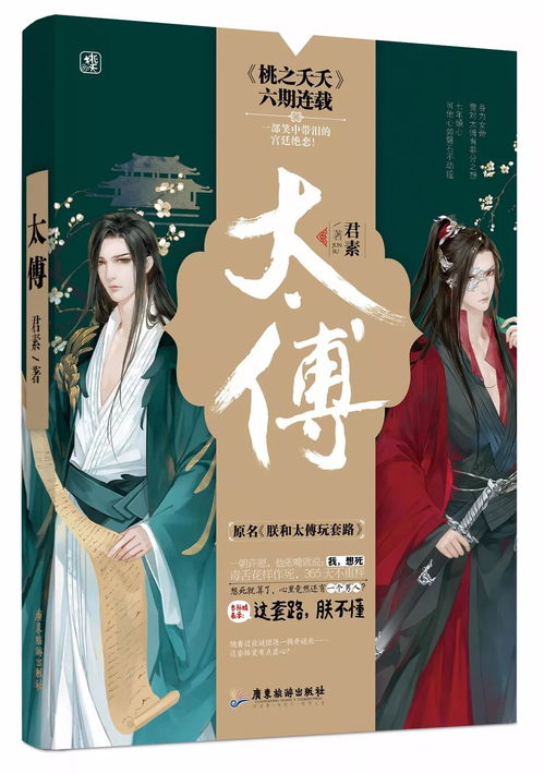 请您为我提供电视剧大宋提刑官2的分集剧情介绍谢谢