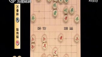 蛇变成龙的过程