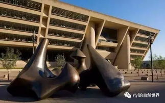 贝聿铭与苏州博物馆有哪些渊源?