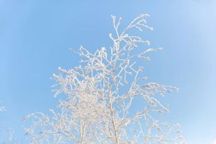 冬烘的意思解释，冬烘意思是什么