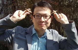 height这个单词的翻译