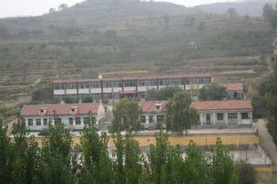 欢口镇董志民，欢口镇人口