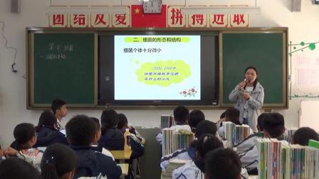 初中怎么学好生物的方法