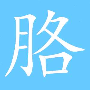 胳怎么组词?