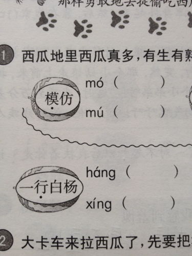 琥组词 汉字琥组词