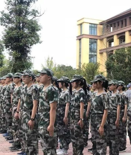 大学军训心得感悟范文