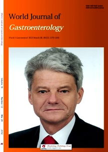 intestines，intestine翻译中文