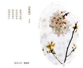 阳春二月有正气什么生肖，阳春二月什么意思