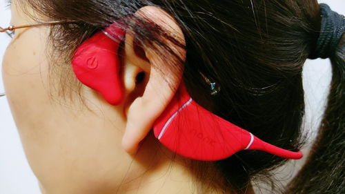 什么耳不会听?，什么耳不会听正确答案