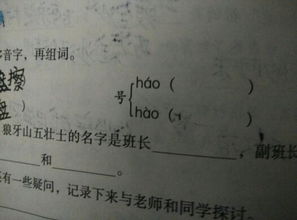 号组词 多音字，号组词语有哪些词语