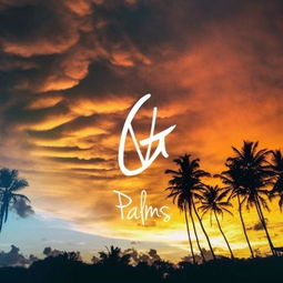 palms是什么意思