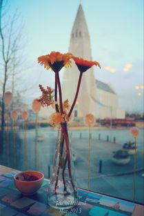 norse中文，norse航空