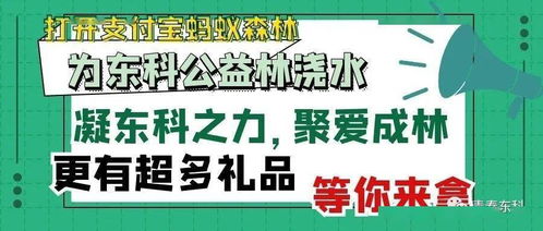 上岸英文缩写，考研上岸英文