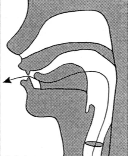 "吹"的拼音是什么