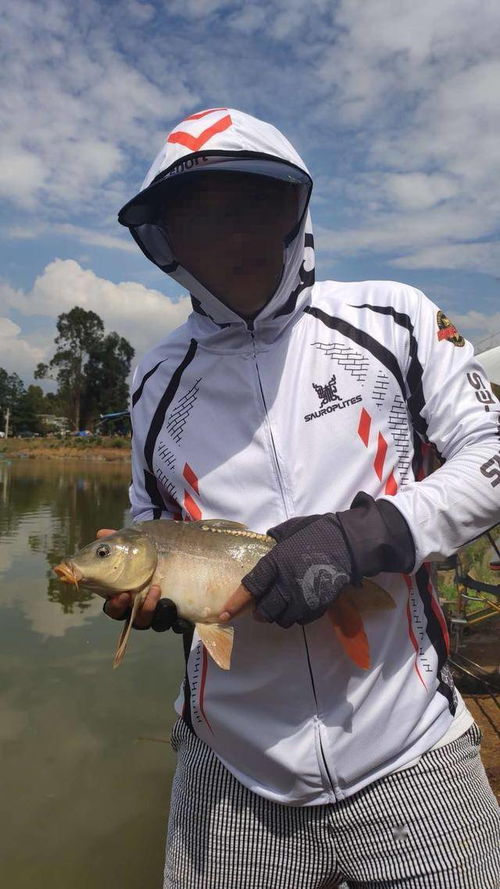 大物是什么意思 大物解释