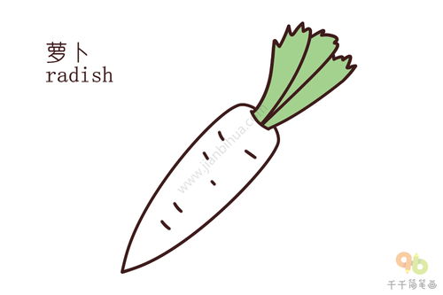 萝卜英语怎么说?