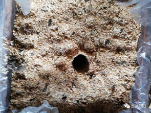 一升一斗一石是多少