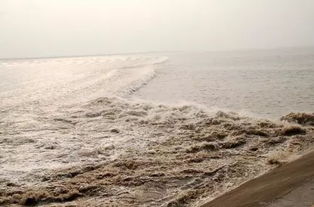 酒泉子·长忆观潮原文翻译及赏析