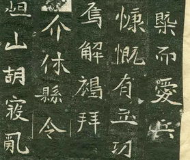 解褐是什么意思