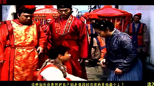 一个女人嫁三夫,猜一生肖