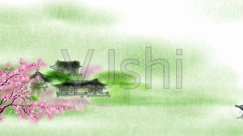 蒹葭的翻译